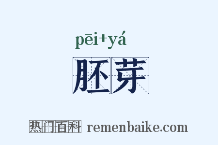 胚芽是什么意思的图片